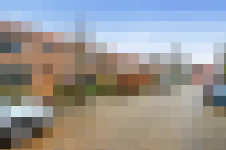 De Moestuin 15 Heiloo thumbnail 31