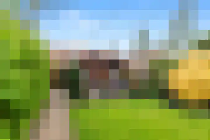 De Moestuin 5 Heiloo thumbnail 14