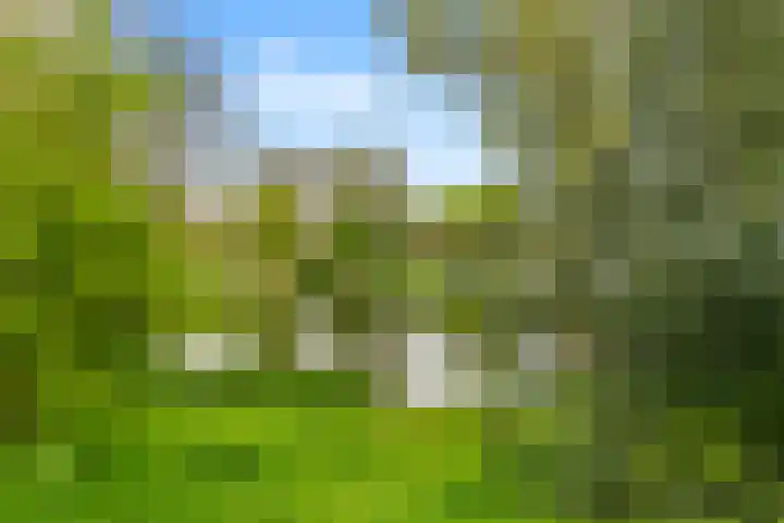 De Moestuin 5 Heiloo thumbnail 27