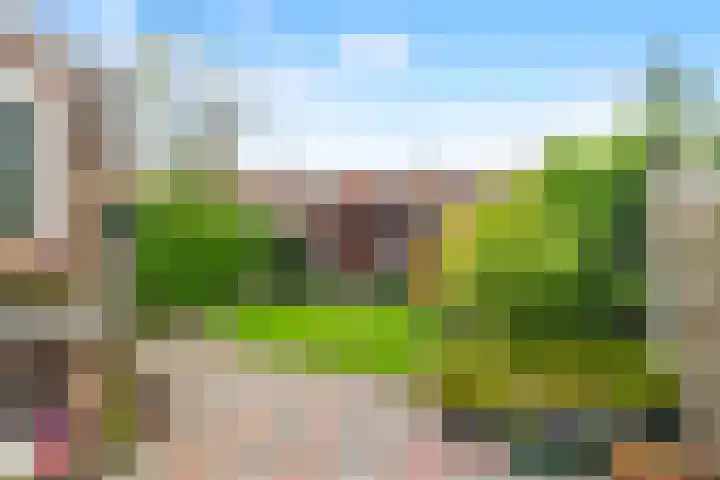 De Moestuin 5 Heiloo thumbnail 4