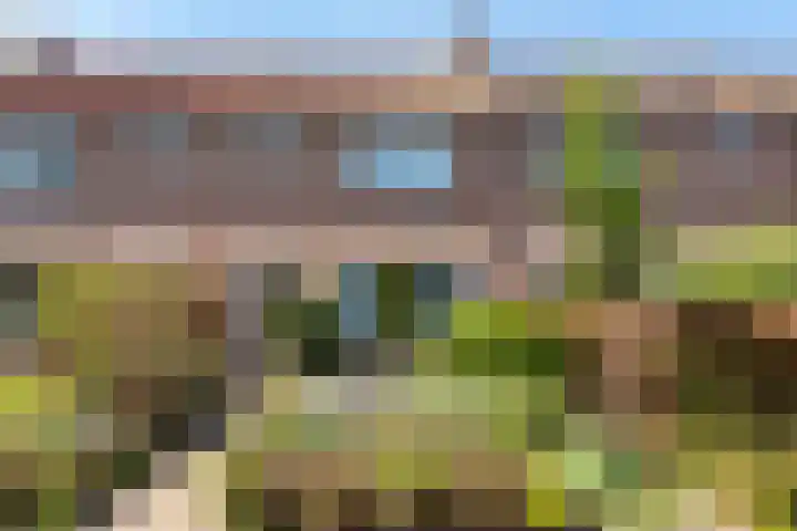 De Moestuin 9 Heiloo thumbnail 37