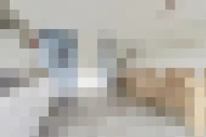 De Molenbeemd 2 Moergestel thumbnail 10