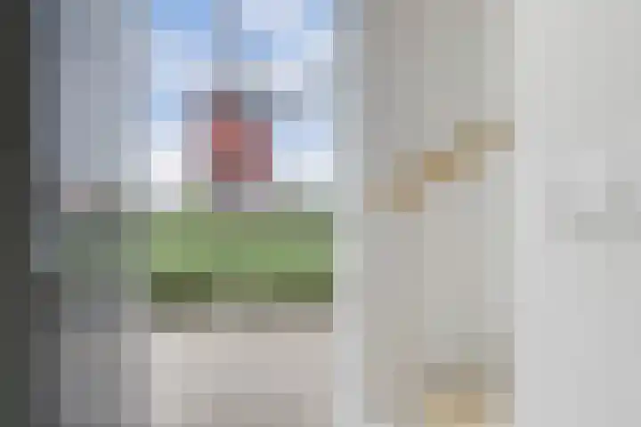 De Molenbeemd 2 Moergestel thumbnail 15