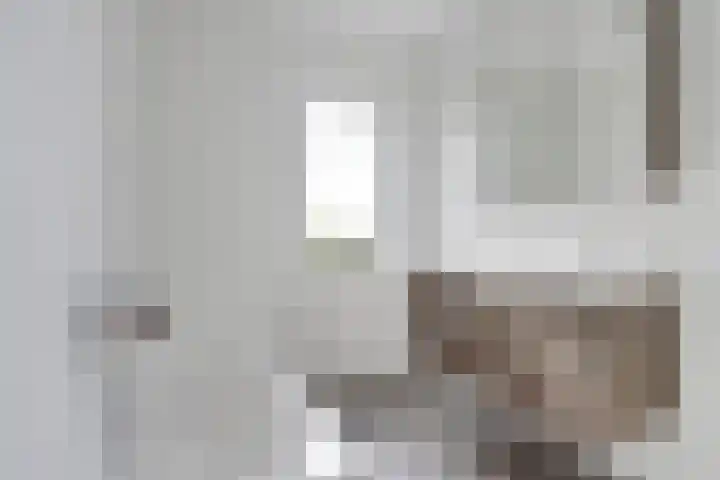 De Molenbeemd 2 Moergestel thumbnail 22