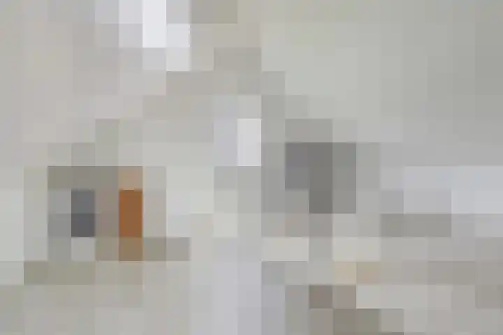 De Molenbeemd 2 Moergestel thumbnail 28