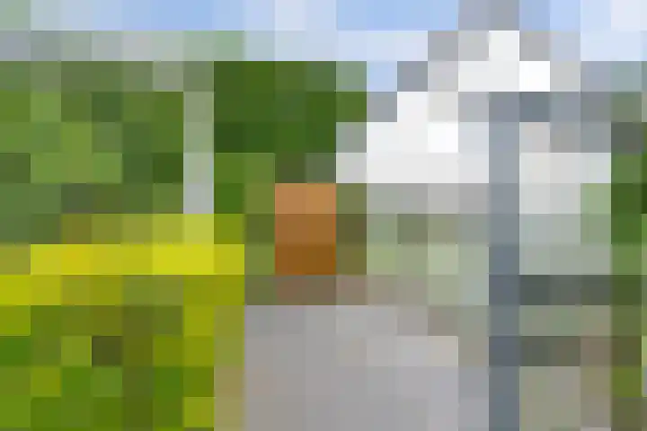De Molenbeemd 2 Moergestel thumbnail 30