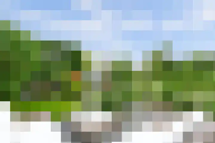 De Molenbeemd 2 Moergestel thumbnail 4