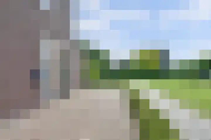 De Molenbeemd 2 Moergestel thumbnail 6