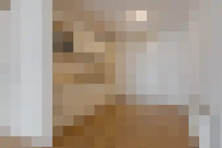 De Molenborg 2 Borger thumbnail 15