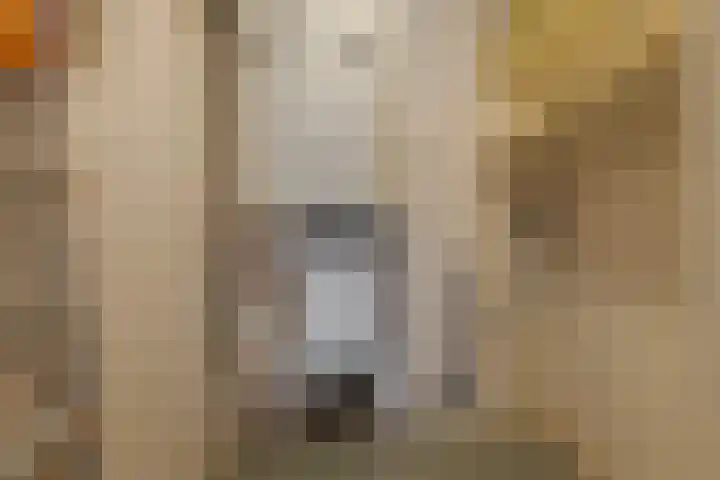 De Molenborg 2 Borger thumbnail 18