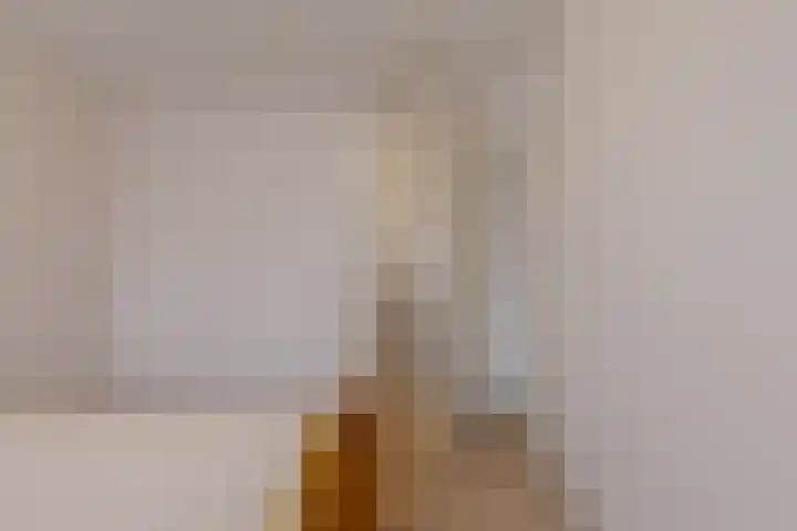 De Molenborg 2 Borger thumbnail 22