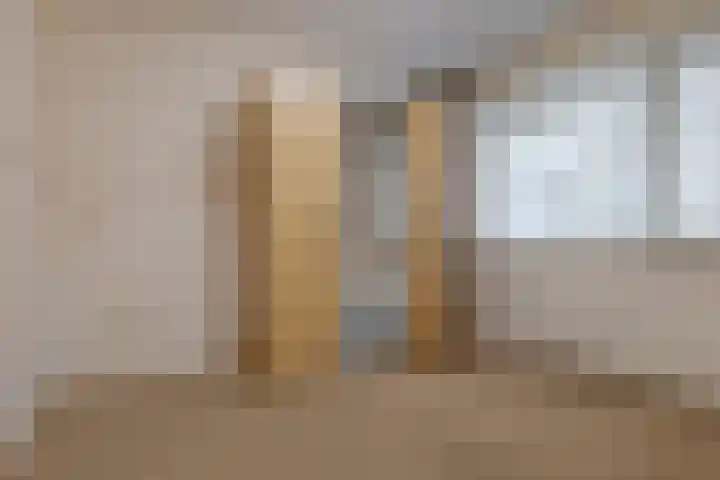 De Molenborg 2 Borger thumbnail 28