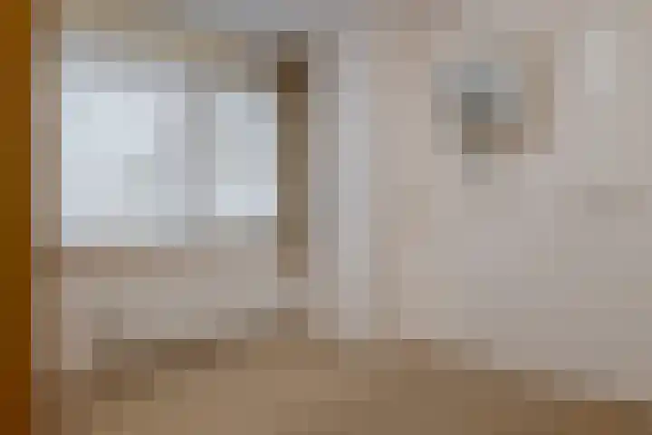 De Molenborg 2 Borger thumbnail 29