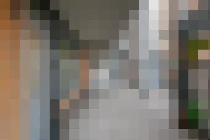 De Molenborg 2 Borger thumbnail 33