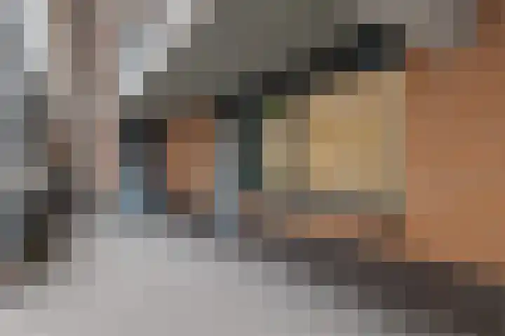 De Molenborg 2 Borger thumbnail 34