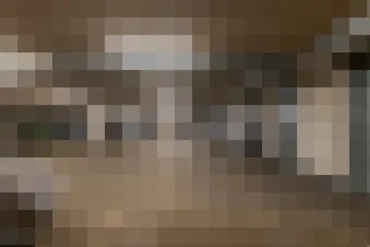 De Molenborg 2 Borger thumbnail 36