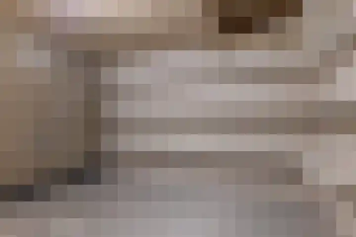 De Molenborg 2 Borger thumbnail 39