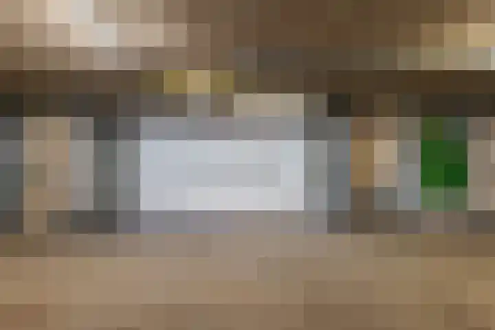 De Molenborg 2 Borger thumbnail 42