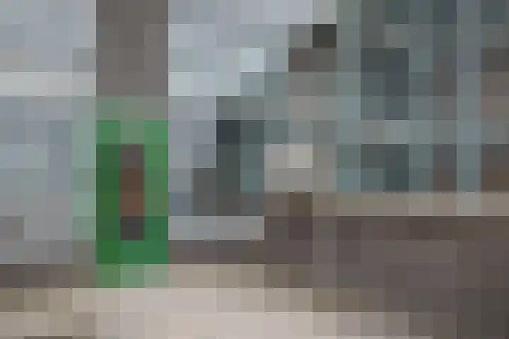 De Molenborg 2 Borger thumbnail 43