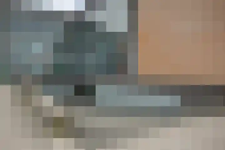 De Molenborg 2 Borger thumbnail 45