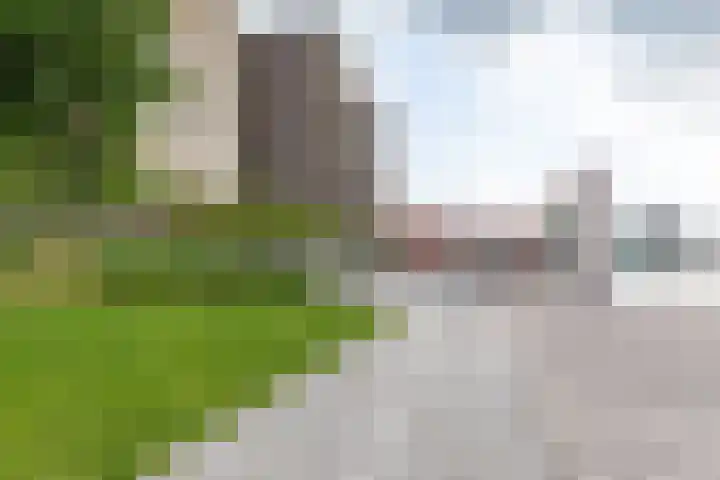 De Monchyplein 17 Rotterdam thumbnail 37