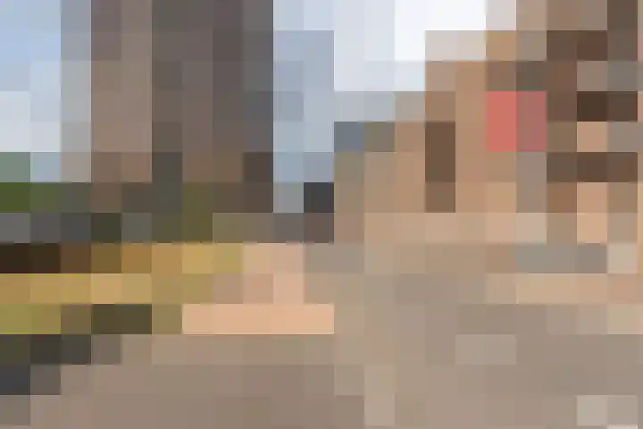 De Monchyplein 17 Rotterdam thumbnail 38