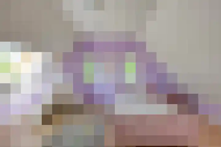 De Monden 4 Elsloo thumbnail 31