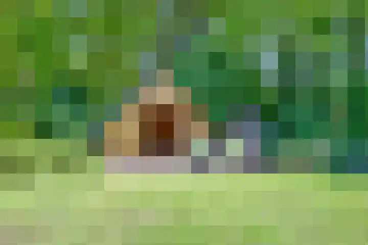 De Monden 4 Elsloo thumbnail 33