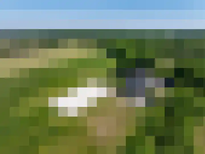 De Monden 4 Elsloo thumbnail 51