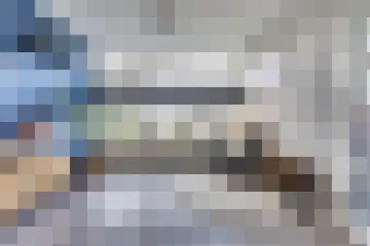 De Morinel 326 Dronten thumbnail 11