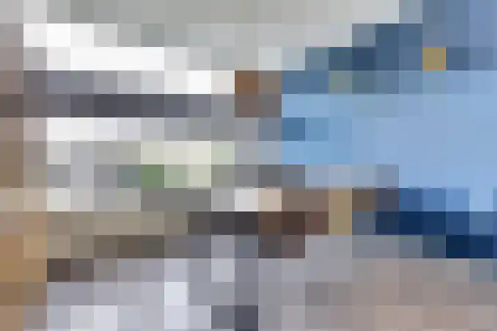 De Morinel 326 Dronten thumbnail 13