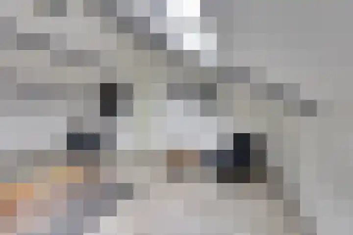 De Morinel 326 Dronten thumbnail 28