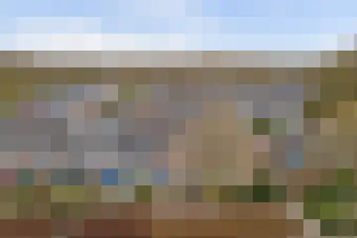 De Morinel 326 Dronten thumbnail 32