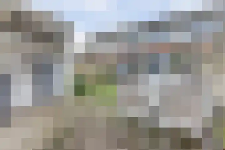 De Morinel 326 Dronten thumbnail 35