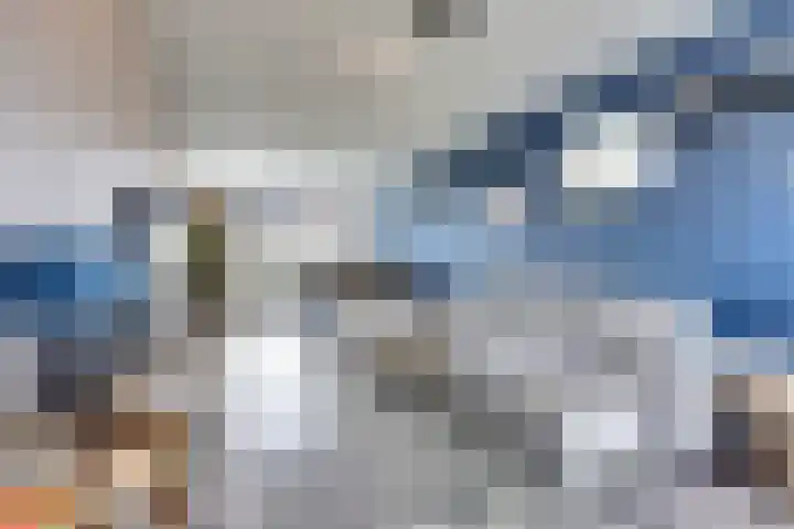De Morinel 326 Dronten thumbnail 8