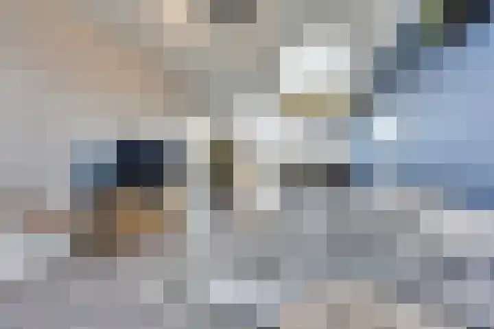 De Morinel 326 Dronten thumbnail 9