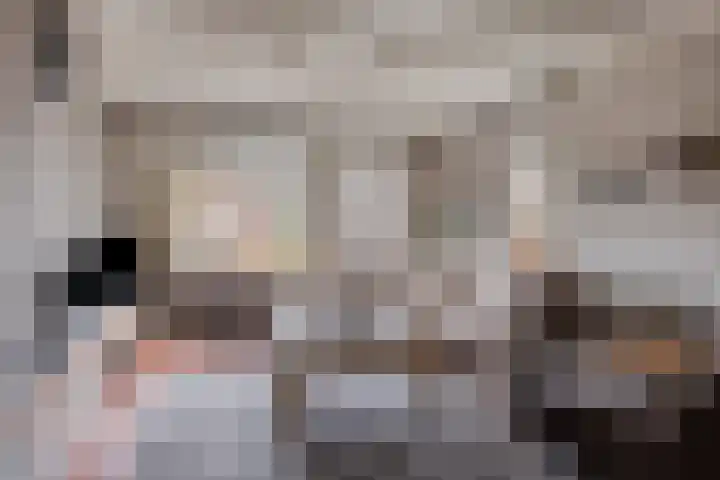 De Mortel 10 Hooge Mierde thumbnail 10