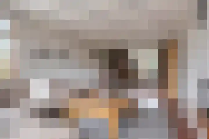 De Mortel 10 Hooge Mierde thumbnail 11