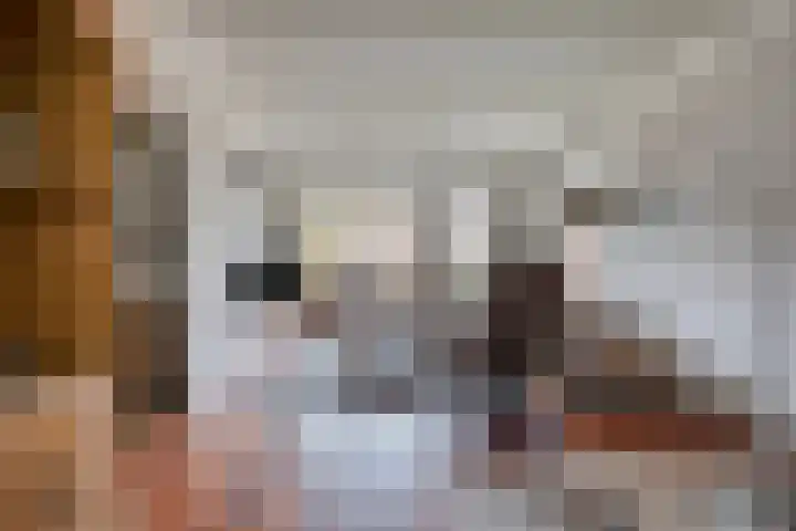 De Mortel 10 Hooge Mierde thumbnail 14