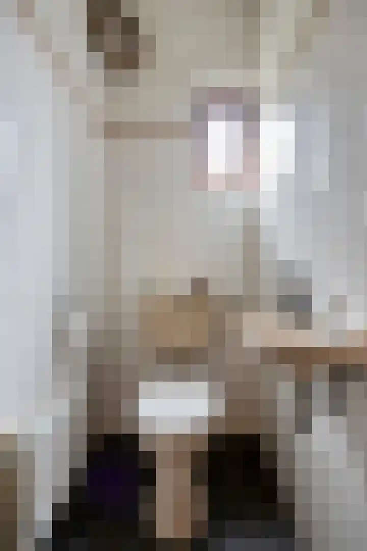 De Mortel 10 Hooge Mierde thumbnail 17