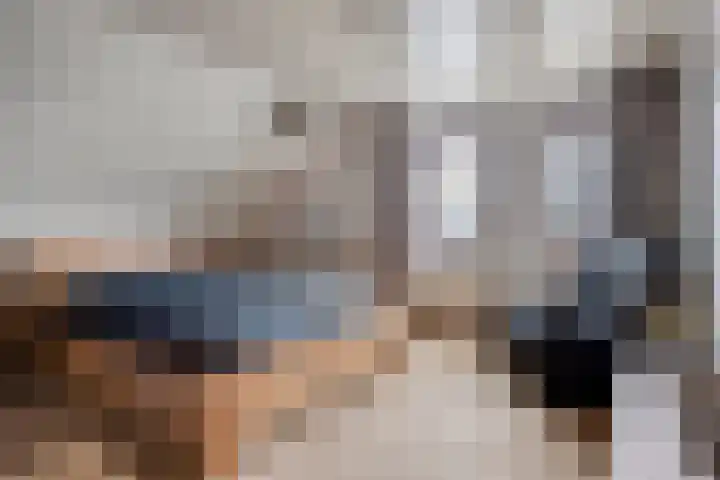 De Mortel 10 Hooge Mierde thumbnail 19