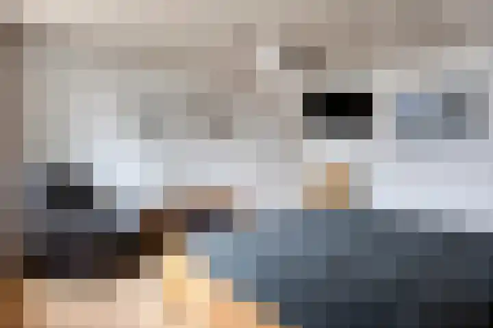 De Mortel 10 Hooge Mierde thumbnail 21