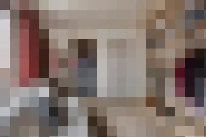 De Mortel 10 Hooge Mierde thumbnail 23