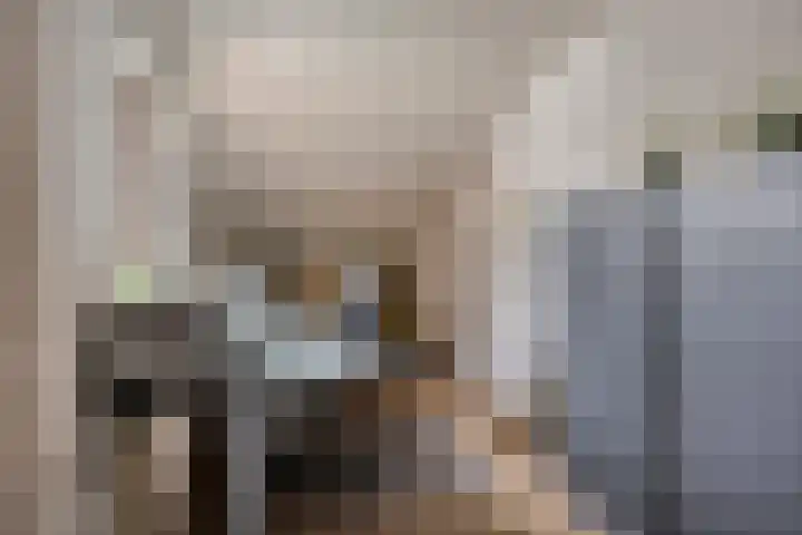 De Mortel 10 Hooge Mierde thumbnail 24