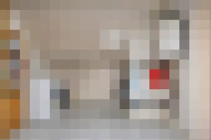 De Mortel 10 Hooge Mierde thumbnail 29