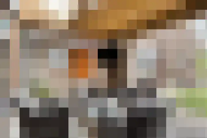 De Mortel 10 Hooge Mierde thumbnail 33