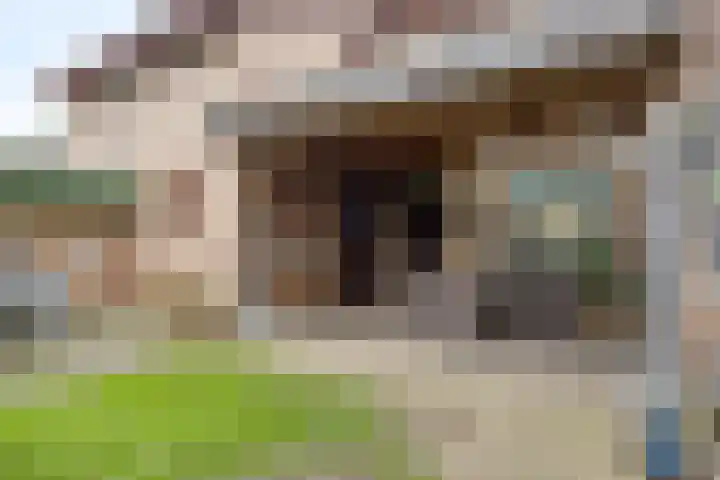 De Mortel 10 Hooge Mierde thumbnail 34