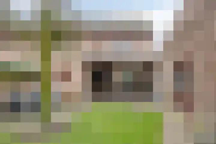 De Mortel 10 Hooge Mierde thumbnail 35