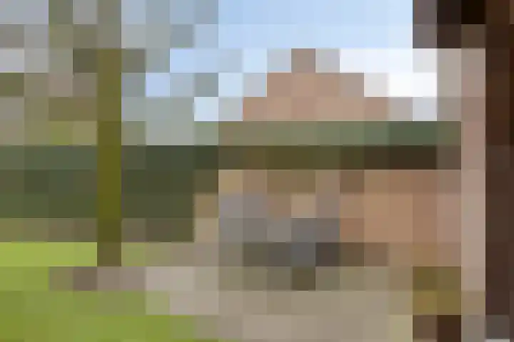 De Mortel 10 Hooge Mierde thumbnail 36