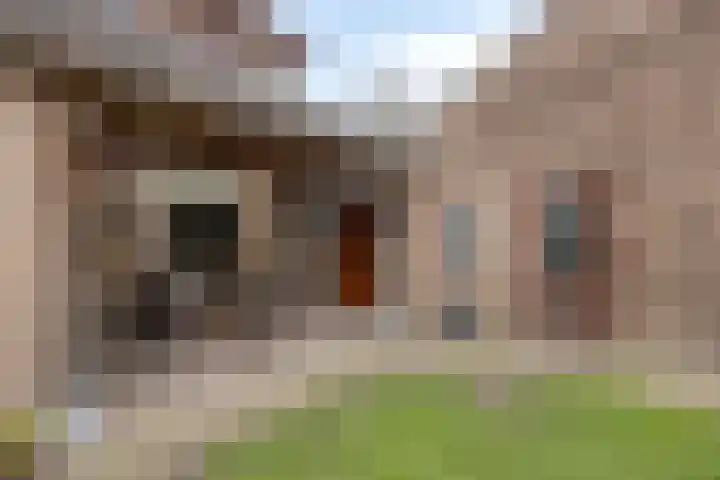 De Mortel 10 Hooge Mierde thumbnail 37